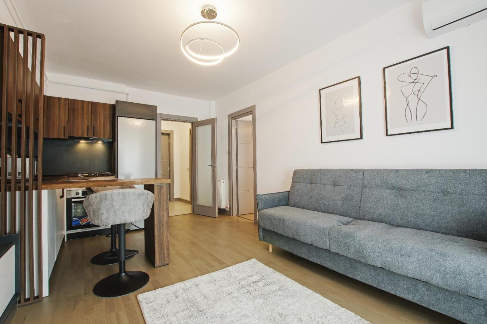 Himson-Brown Apartment Iasi Extérieur photo